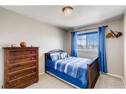 9805 Buffalo St, Firestone, CO 80504 photo 20