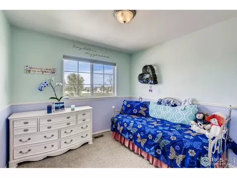 9805 Buffalo St, Firestone, CO 80504 photo 21