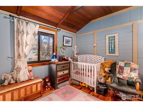 355 Cherokee Rd, Lyons, CO 80540 photo 22