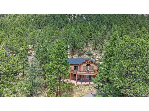 Exterior - 51 Cedar Ln, Bailey, CO 80421 photo 3 of 14