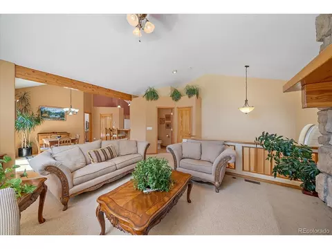 Living - 51 Cedar Ln, Bailey, CO 80421 photo 4 of 7