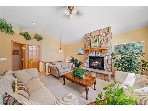 Living - 51 Cedar Ln, Bailey, CO 80421 photo 3 of 7