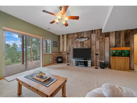 Living - 51 Cedar Ln, Bailey, CO 80421 photo 6 of 7