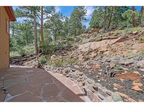 Exterior - 51 Cedar Ln, Bailey, CO 80421 photo 13 of 14