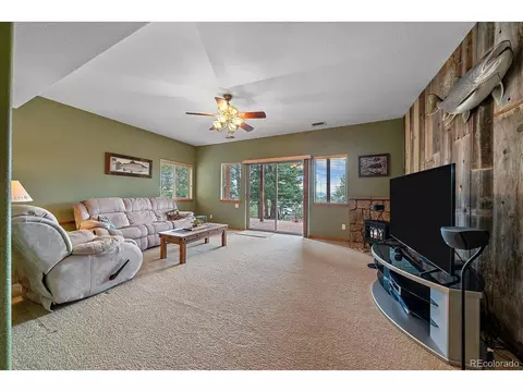 Living - 51 Cedar Ln, Bailey, CO 80421 photo 5 of 7