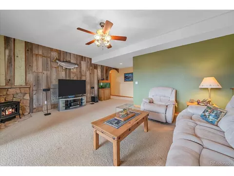 Living - 51 Cedar Ln, Bailey, CO 80421 photo 7 of 7
