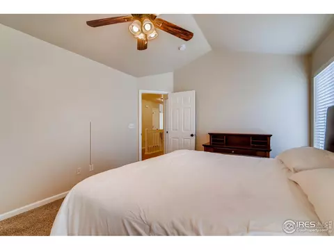 523 Vivian St, Severance, CO 80546 photo 14