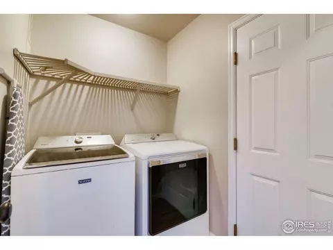 523 Vivian St, Severance, CO 80546 photo 24