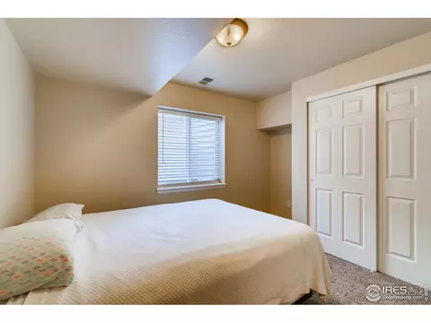523 Vivian St, Severance, CO 80546 photo 21