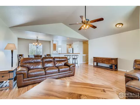 523 Vivian St, Severance, CO 80546 photo 5