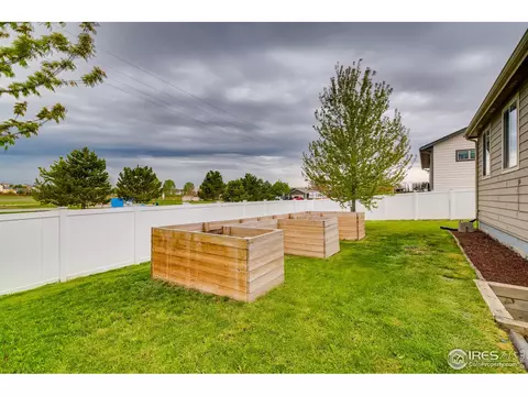 523 Vivian St, Severance, CO 80546 photo 28