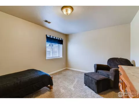 523 Vivian St, Severance, CO 80546 photo 20
