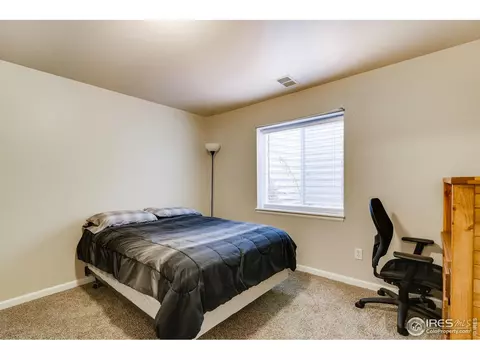 523 Vivian St, Severance, CO 80546 photo 22