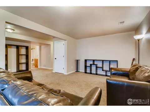523 Vivian St, Severance, CO 80546 photo 19