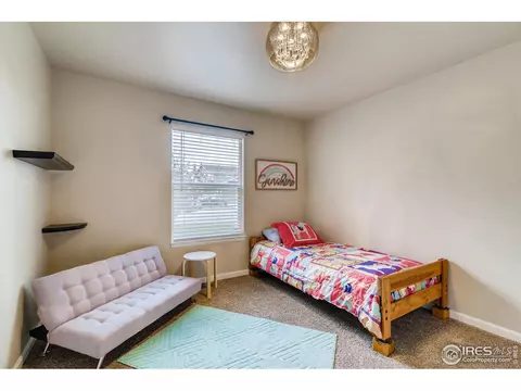 523 Vivian St, Severance, CO 80546 photo 16