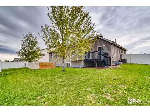 523 Vivian St, Severance, CO 80546 photo 26