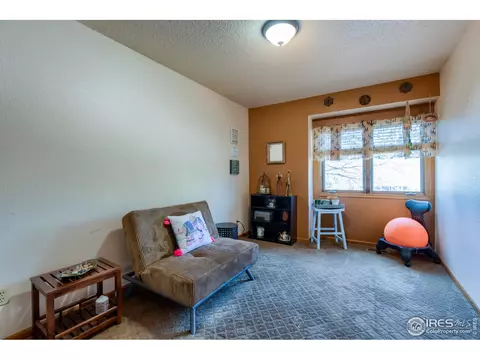1017 Pinyon Dr, Windsor, CO 80550 photo 27