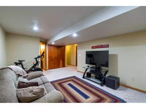 1017 Pinyon Dr, Windsor, CO 80550 photo 33