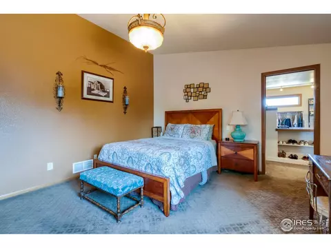 1017 Pinyon Dr, Windsor, CO 80550 photo 19