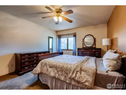 1017 Pinyon Dr, Windsor, CO 80550 photo 30
