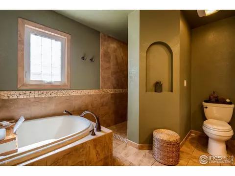 1017 Pinyon Dr, Windsor, CO 80550 photo 23