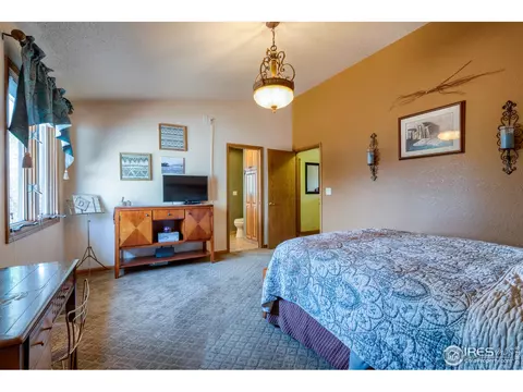 1017 Pinyon Dr, Windsor, CO 80550 photo 20