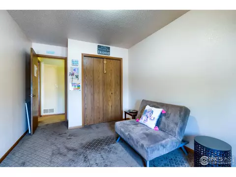 1017 Pinyon Dr, Windsor, CO 80550 photo 26