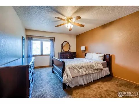 1017 Pinyon Dr, Windsor, CO 80550 photo 29