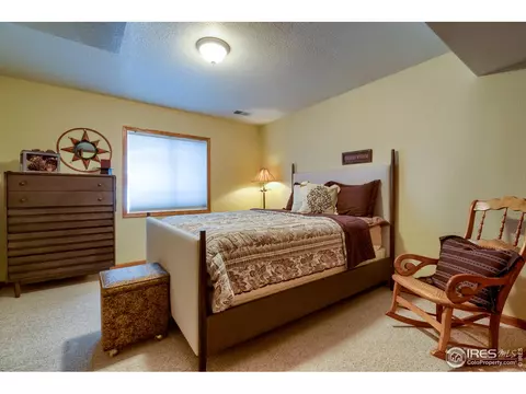 1017 Pinyon Dr, Windsor, CO 80550 photo 34