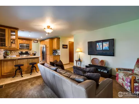 1017 Pinyon Dr, Windsor, CO 80550 photo 15