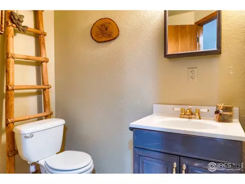1017 Pinyon Dr, Windsor, CO 80550 photo 35