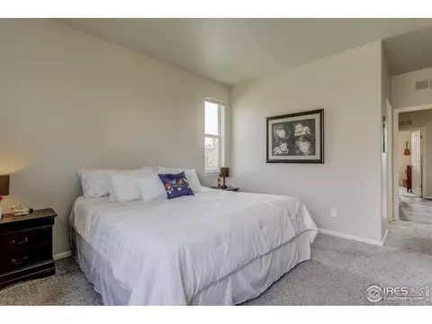 229 Naples St, Firestone, CO 80520 photo 18