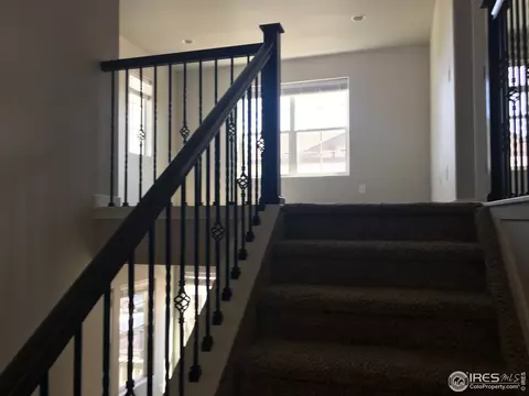 2170 First Light Ct, Windsor, CO 80550 photo 10