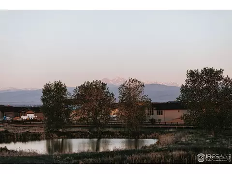 6904 Summerwind Ct, Timnath, CO 80547 photo 37