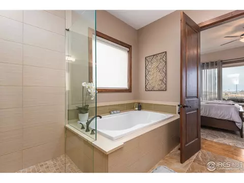 6904 Summerwind Ct, Timnath, CO 80547 photo 16