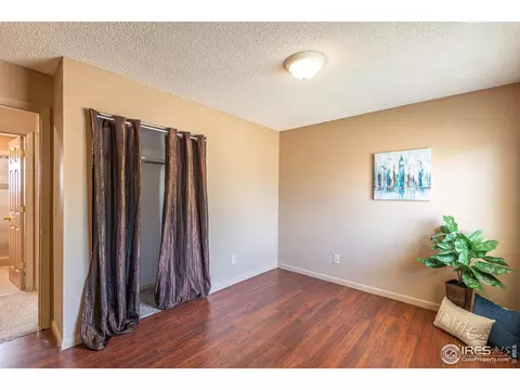 580 Pine Dr, Windsor, CO 80550 photo 13