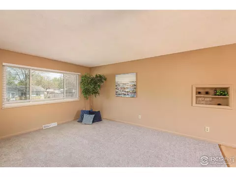 580 Pine Dr, Windsor, CO 80550 photo 4
