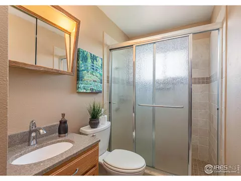 580 Pine Dr, Windsor, CO 80550 photo 11
