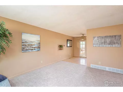 580 Pine Dr, Windsor, CO 80550 photo 5