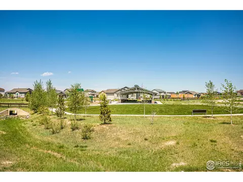 2116 Grain Bin Dr, Windsor, CO 80550 photo 34