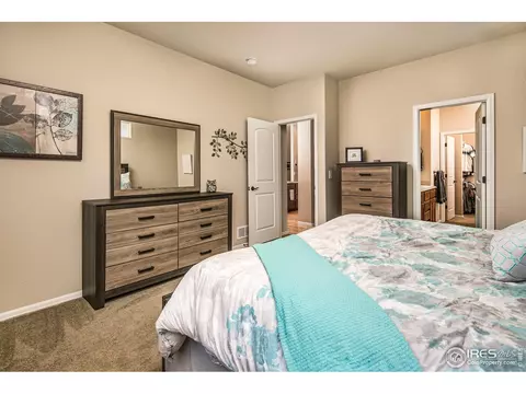 2116 Grain Bin Dr, Windsor, CO 80550 photo 19