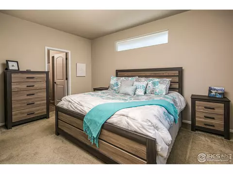 2116 Grain Bin Dr, Windsor, CO 80550 photo 18