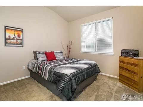 2116 Grain Bin Dr, Windsor, CO 80550 photo 23