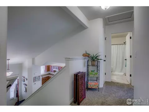 839 Sunlight Peak Dr, Severance, CO 80550 photo 18