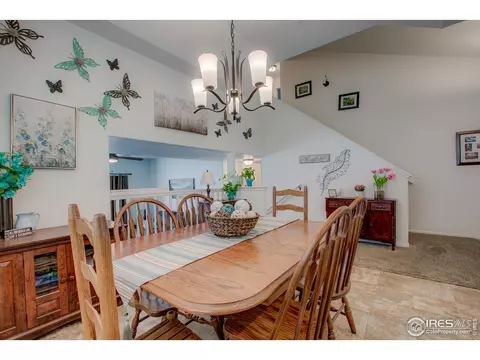 839 Sunlight Peak Dr, Severance, CO 80550 photo 6