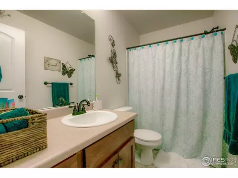 839 Sunlight Peak Dr, Severance, CO 80550 photo 22