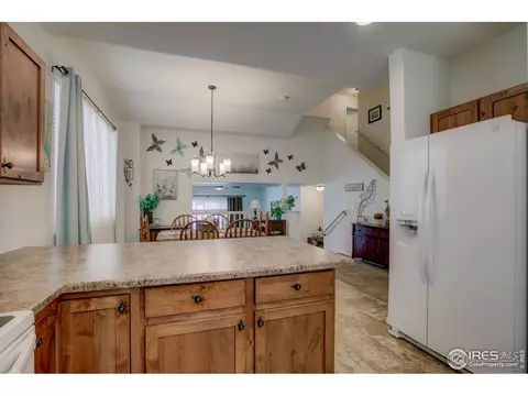 839 Sunlight Peak Dr, Severance, CO 80550 photo 11