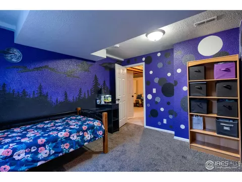 704 Rivendell Ct, Pierce, CO 80650 photo 33