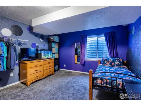 704 Rivendell Ct, Pierce, CO 80650 photo 31