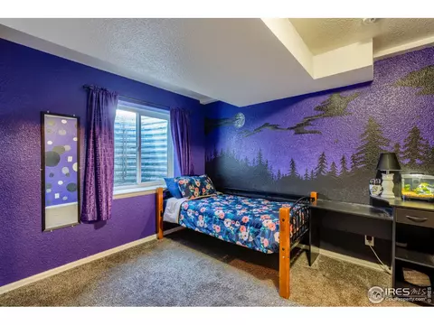 704 Rivendell Ct, Pierce, CO 80650 photo 32